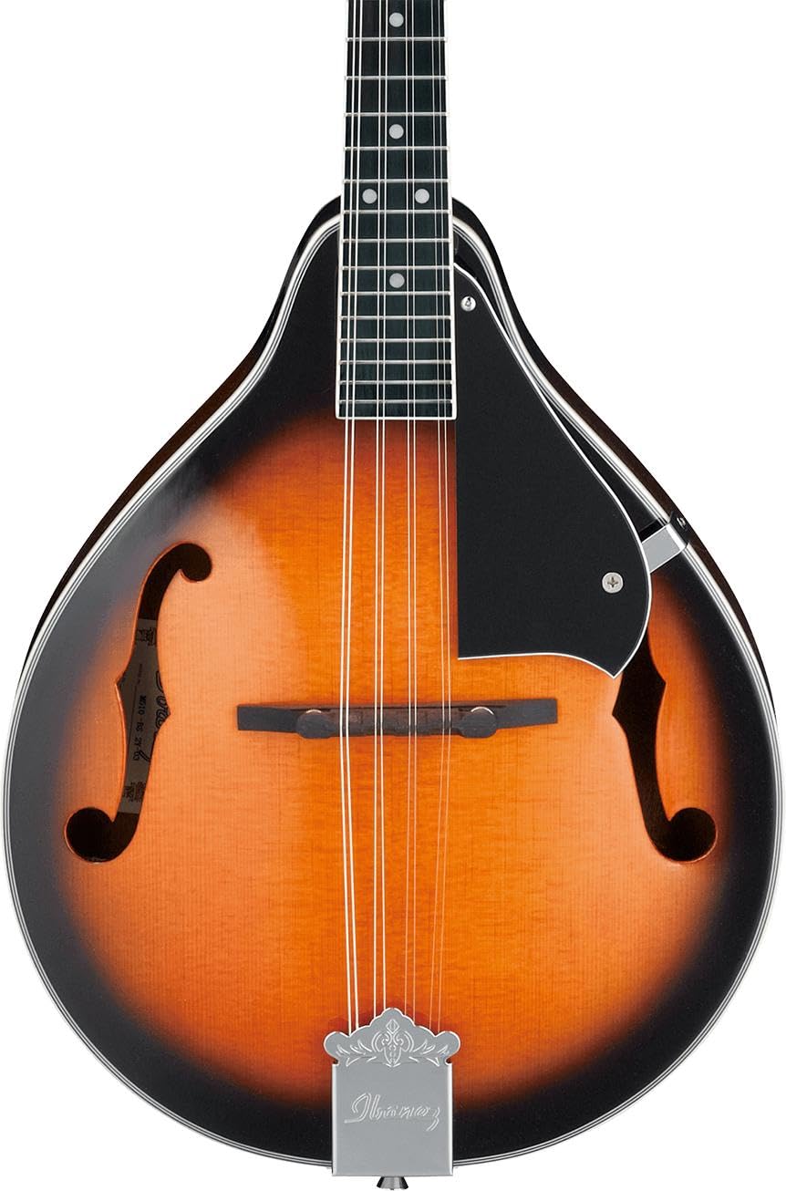 Amazon.com: Ibanez M510 Mandolin - Brown Sunburst High Gloss